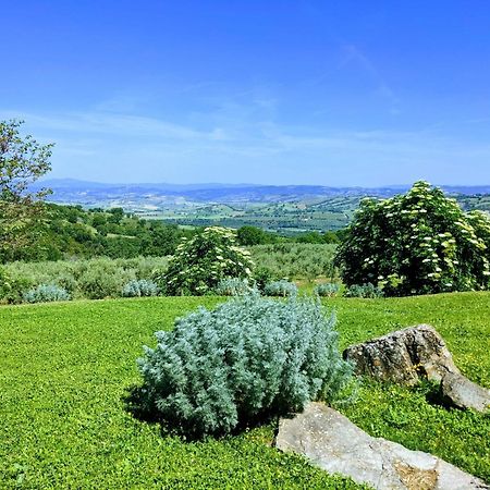 Agriturismo Podere Prataccio Γκροσέτο Εξωτερικό φωτογραφία