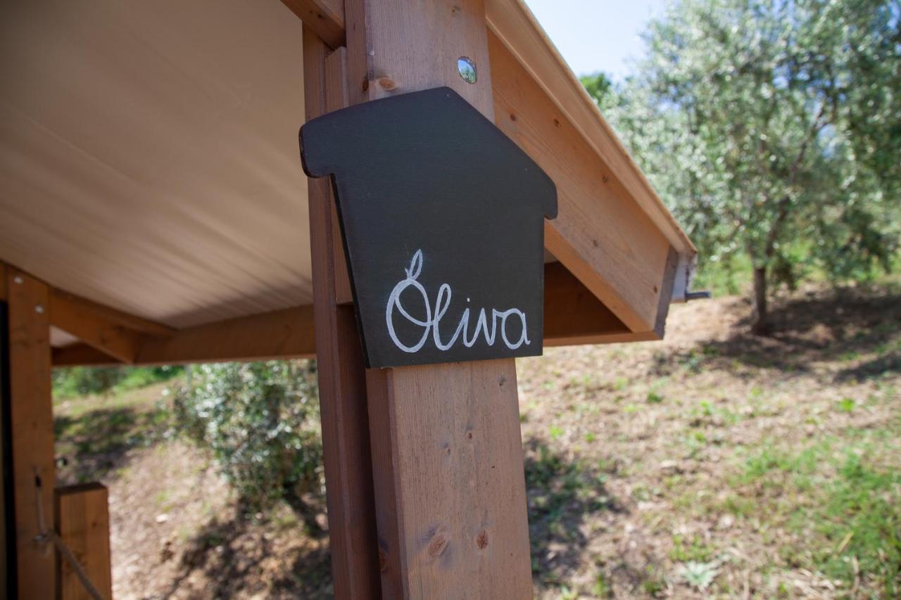 Agriturismo Podere Prataccio Γκροσέτο Εξωτερικό φωτογραφία