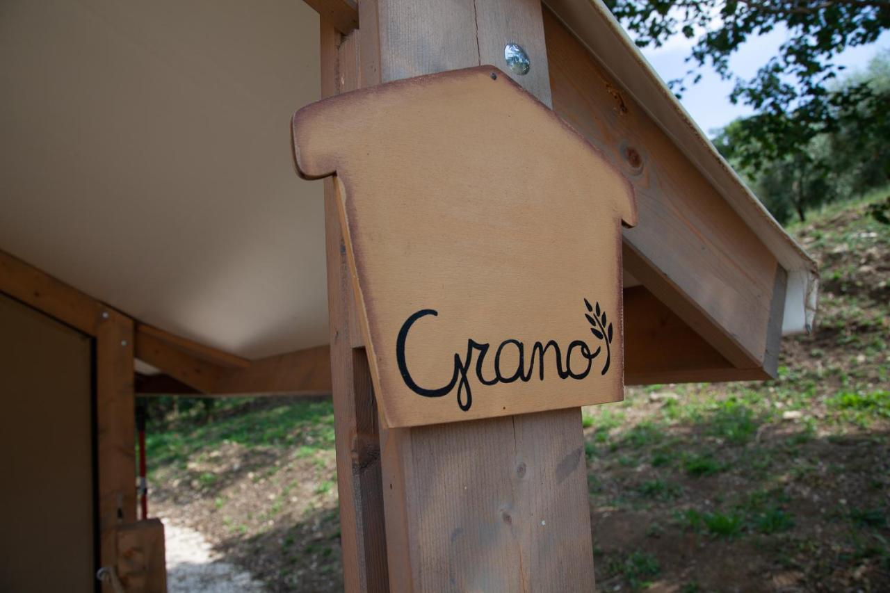 Agriturismo Podere Prataccio Γκροσέτο Εξωτερικό φωτογραφία