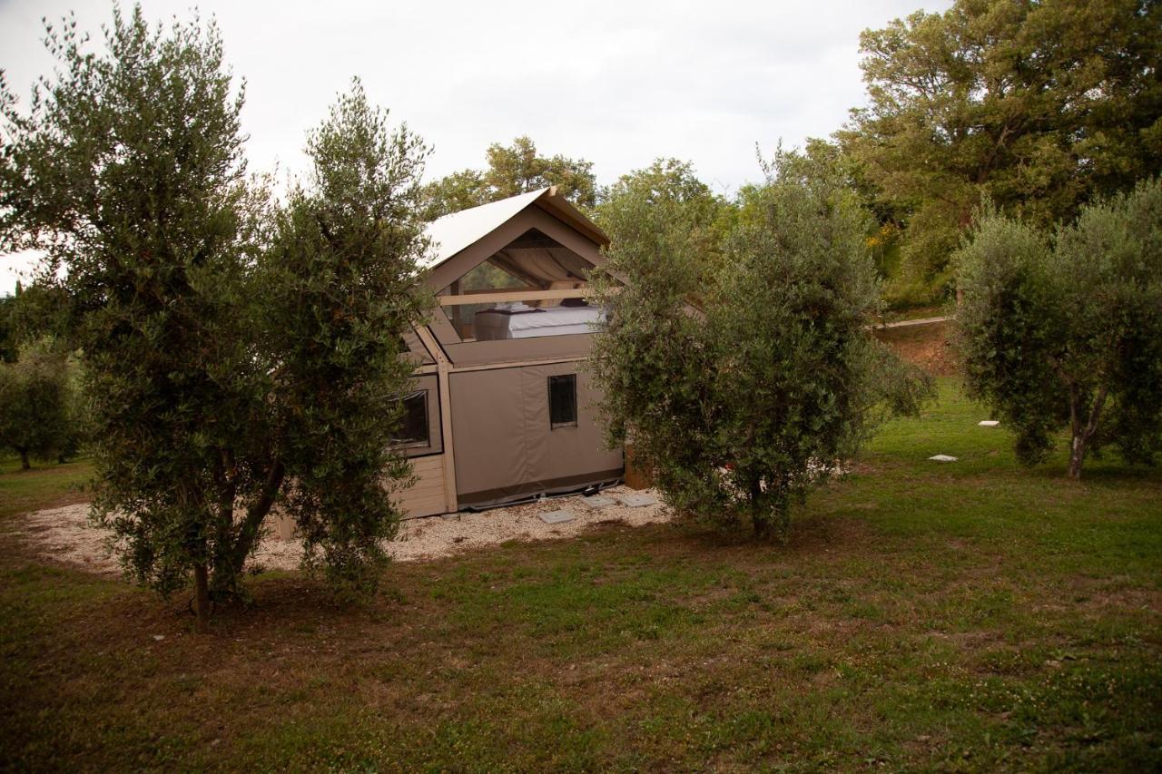 Agriturismo Podere Prataccio Γκροσέτο Εξωτερικό φωτογραφία