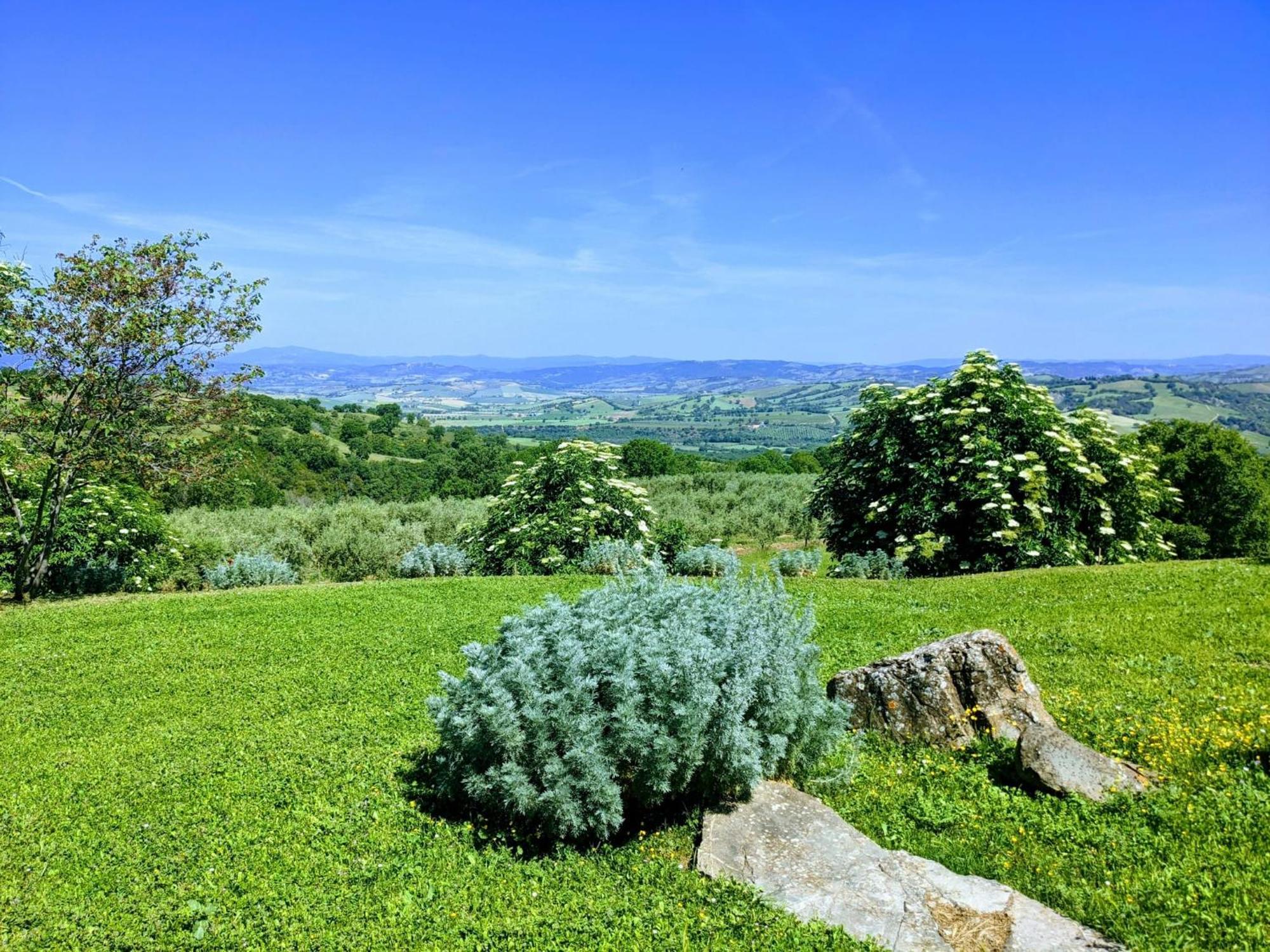 Agriturismo Podere Prataccio Γκροσέτο Εξωτερικό φωτογραφία