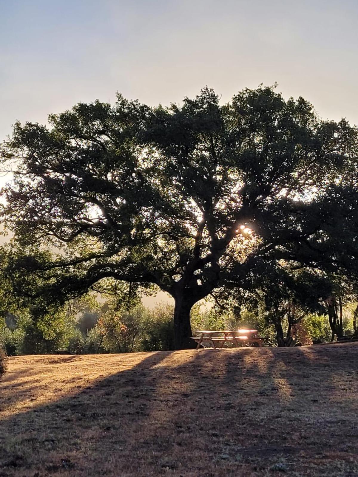 Agriturismo Podere Prataccio Γκροσέτο Εξωτερικό φωτογραφία